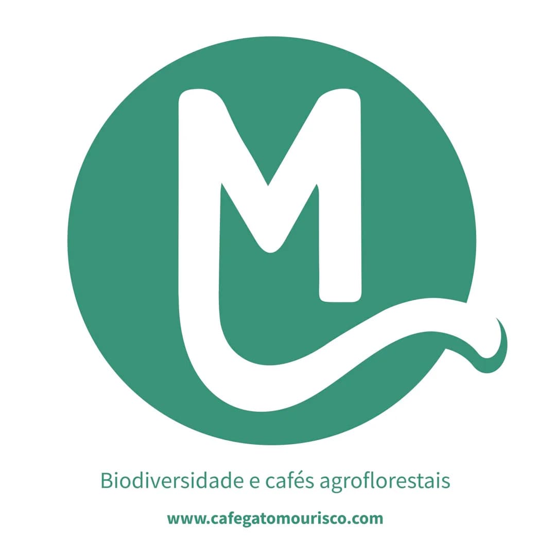 gato mourisco logo para site