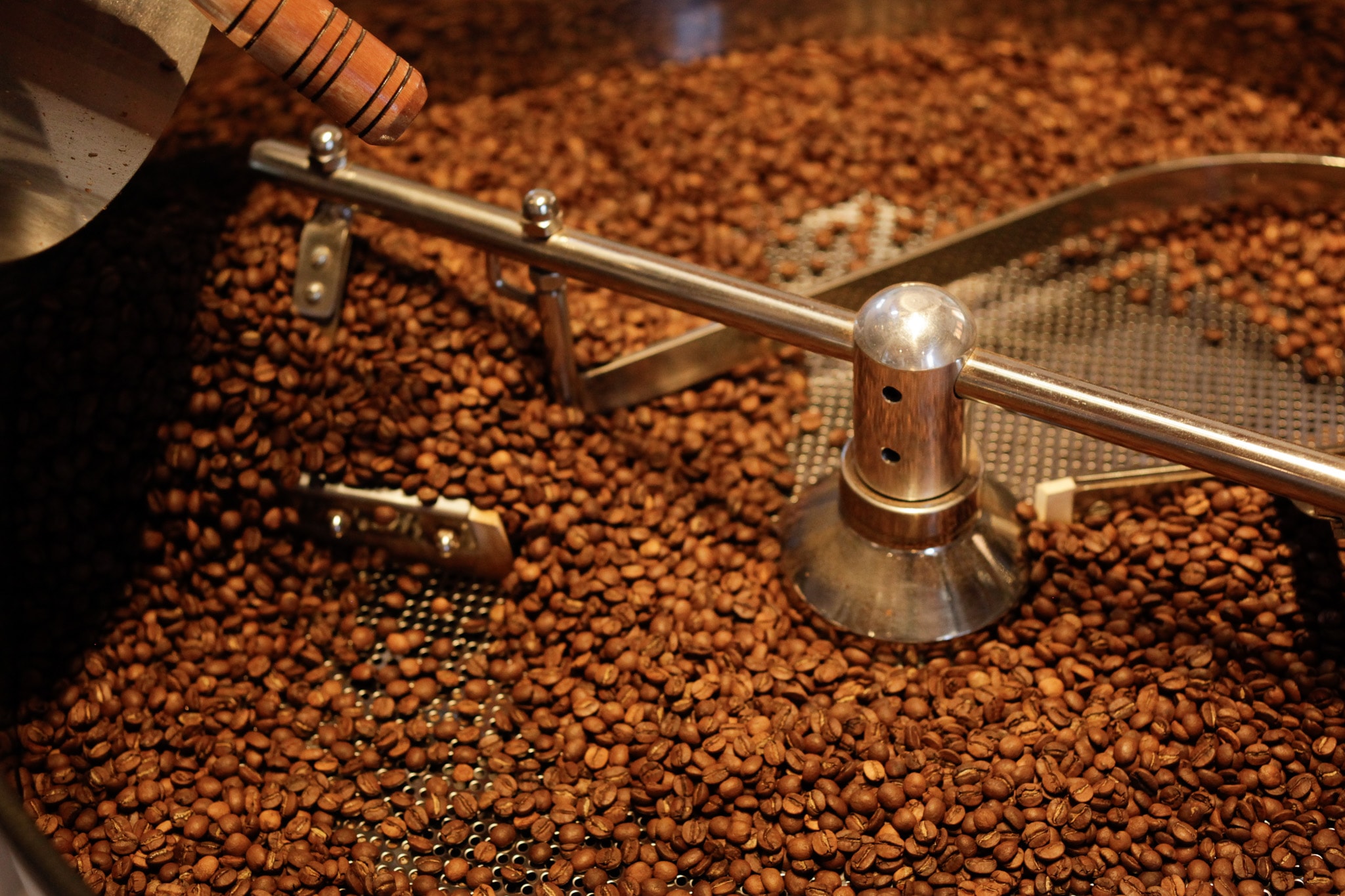 Café especial Gato-Mourisco