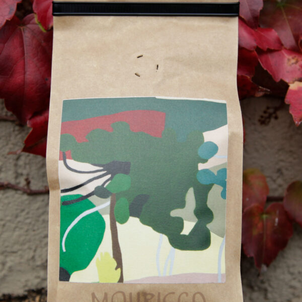 Café Mourisco 250g grãos Geisha linhagem "Panamá"